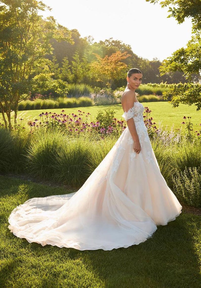 Lace Appliques Bodice A-Line Gown with Flowy Skirt Slate Blue