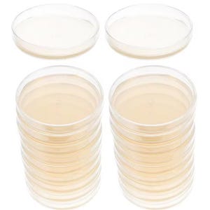 May include: A set of ten clear plastic petri dishes, stacked in two piles of five. The dishes are empty and have a smooth, clear surface.