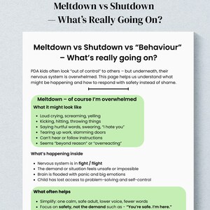 May include: A white paper titled "Meltdown vs Shutdown - What's Really Going On?" and "Meltdown vs Shutdown vs 'Behaviour' - What's really going on?" The paper details behaviours and internal processes during a meltdown.