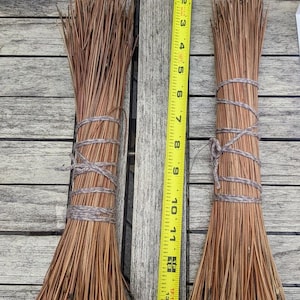 May include: Two bundles of dried brown pine needles tied with grey twine, positioned next to a yellow measuring tape that shows the bundles are approximately 15 inches long. The needles are thin, straight, and uniform in color.