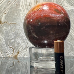 Polished Petrified Wood Sphere – 4&quot; Display Stone