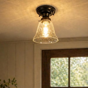 May include: A bronze-colored ceiling light fixture with a speckled glass shade. The light is on, illuminating the entryway. The fixture is mounted on a white ceiling. A wooden door and a vase with greenery are also visible.