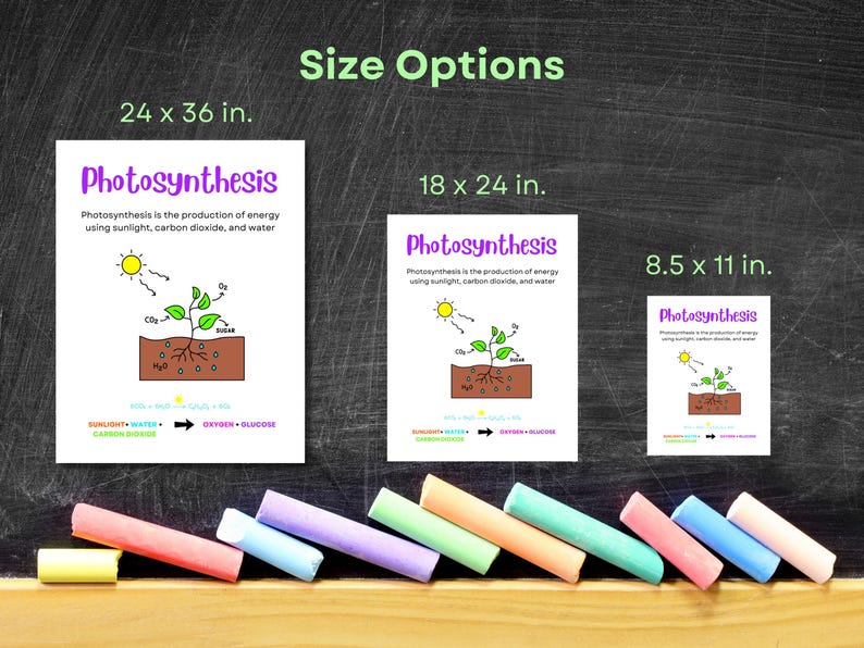 Printable Photosynthesis Anchor Chart, Science Classroom Poster ...