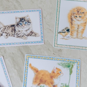 Conjunto de 5 cartões de felicitações vintage com estampa floral de gatinho, sem uso, em branco, com envelopes