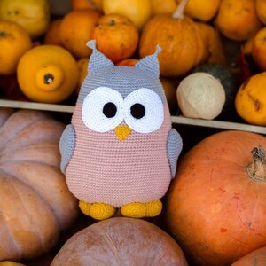 May include: A crocheted owl toy with large white eyes and a pink body. The owl is sitting on a pile of pumpkins, some of which are orange and some are brown.