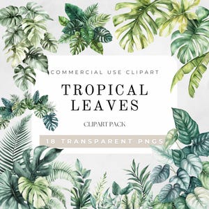 Clipart aquarelle de feuilles tropicales, feuillage tropical PNG, clipart de verdure, art imprimable de plantes tropicales, téléchargement numérique