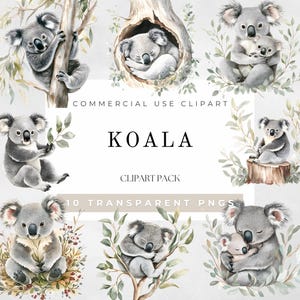 Koala Clipart Watercolor, Safari Animals PNG, Australia Animal Sticker Clipart,Baby Shower Clipart,Digital Download