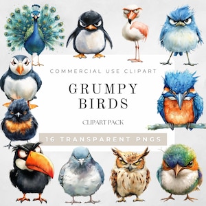 Grumpy Birds Watercolor Clipart, Funny Bird Shirt, Watercolor Quirky Bird Illustrations, Funny Moody Bird PNG, Digital Download