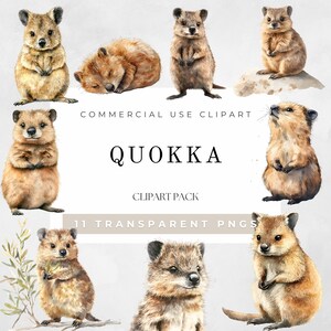 Quokka Clipart Watercolor, Whimsical Australia Animal PNG, Quokkas Nursery Decor, Safari Clipart, Baby Shower Invitations, Digital Download