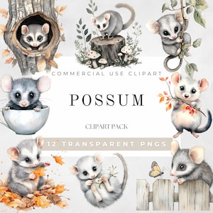 Possum Clipart Watercolor, Opossum Nursery Decor Art, Opossum Shirt, Possum Sticker, Whimsical Australia Animal PNG, Digital Download