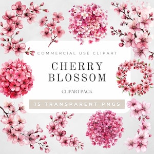 Clipart di fiori di ciliegio, Clipart di fiori di ciliegio ad acquerello, Clipart di fiori primaverili, Arte dei fiori di ciliegio, Cornici floreali, Bouquet di fiori rosa