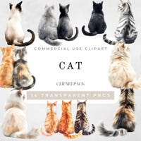 American Shorthair Cat SVG and PNG | Digital Art for Crafts & DIY ...