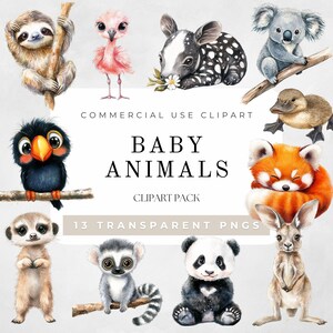 Clipart aquarelle bébé animal, clipart animaux de la jungle, clipart animal, bébé animal safari PNG, décoration de chambre d'enfant safari, téléchargement numérique
