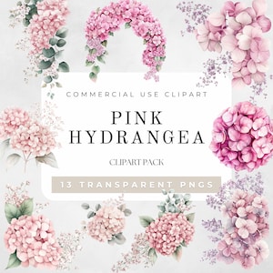 Clipart de hortensias rosas en acuarela, clipart de arreglos de hortensias, clipart de flores rosas de verano, impresión de plantas de hortensias, arreglos florales