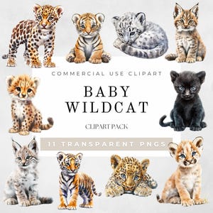 Clipart aquarelle bébé chat sauvage, PNG chats sauvages, clipart bébé animal, clipart animal de safari, animaux de la jungle PNG, léopard, tigre, téléchargement numérique