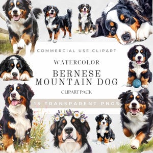Bernese Mountain Dog Clipart Watercolor, Cute Dog Clipart, Bernese Clipart, Bernese Mountain Dog PNG, Dog Lover Gift, Digital Download
