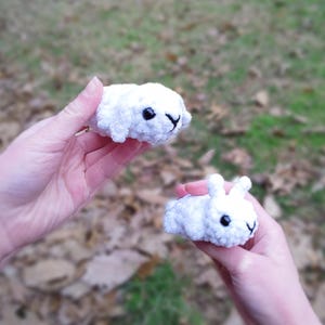 May include: Two small, white, crocheted bunny figures with black eyes and black facial details. One is held in each hand, set against a blurred background of green grass and fallen leaves. The bunnies have a fluffy texture.