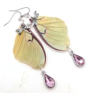 luna moth earrings with dragonfly and crystal drops ethically source real butterfly wings fairy wings sunburst