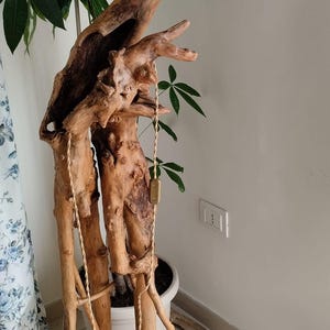 May include: A wooden floor lamp with a natural wood finish. The lamp has a unique, tree-like design with a round base and a single light fixture. The lamp is lit with a string of lights.