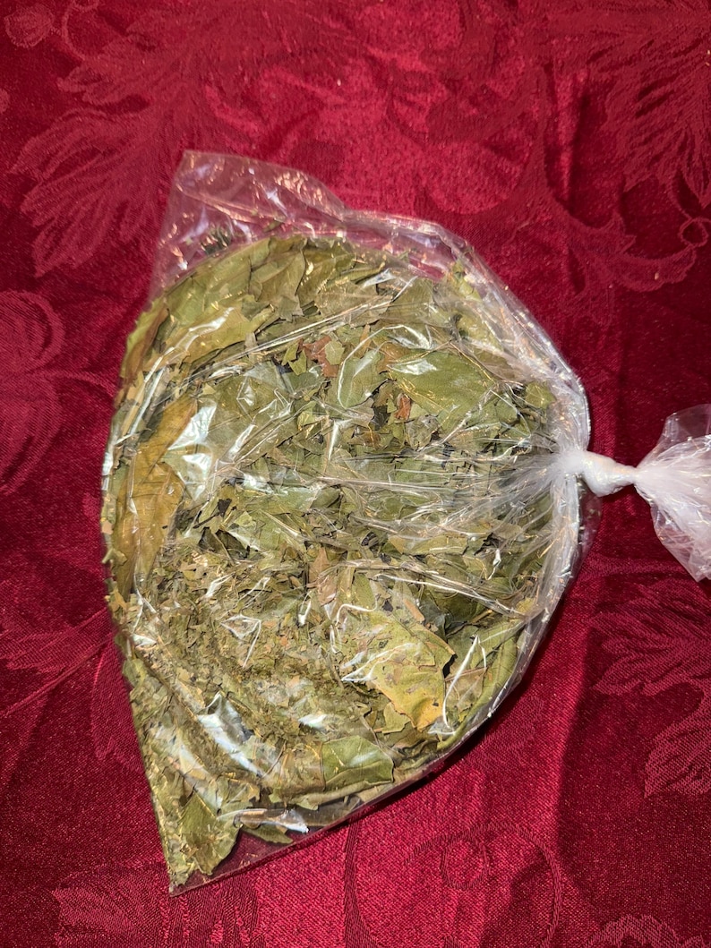 May include: A clear plastic bag filled with dried green leaves. The leaves are various shades of green and brown. The bag is tied at the top with a twist tie. The background is a deep red fabric.