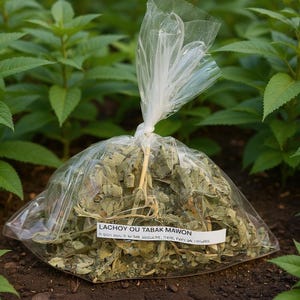 FEY LACHÒY ou tabak mawon.