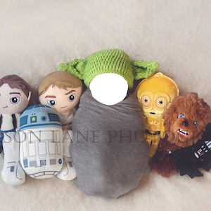 May include: A baby swaddled in a gray blanket, surrounded by Star Wars plush toys, including Yoda, Luke Skywalker, R2-D2, Chewbacca, and C-3PO.