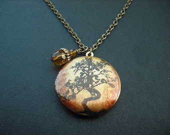 Bonsai Tree locket necklace