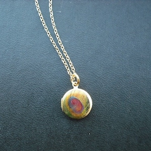 mini peacock feather locket necklace - 1 - 14K gold filled