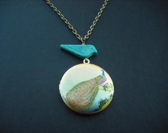 Peacock in Bloom locket necklace