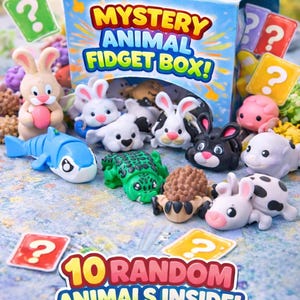 Mystery Animal Fidget Box – Set of 10 Pocket-Sized Wiggly Desk Buddies!