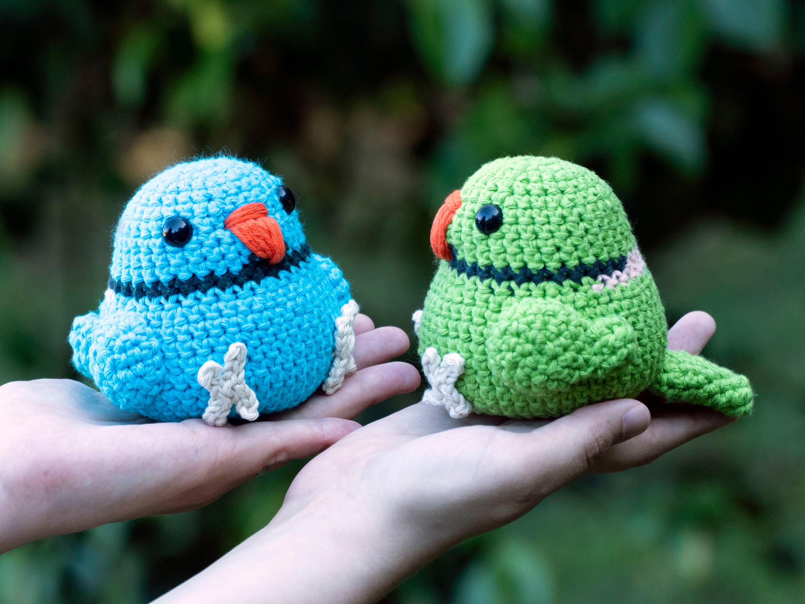 MADE to ORDER - Amigurumi Indian Ringneck - Green or Blue Ringneck