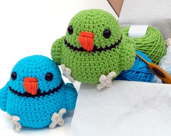 DIY Crochet Kit - Amigurumi Indian Ringneck Bird Plush Toy