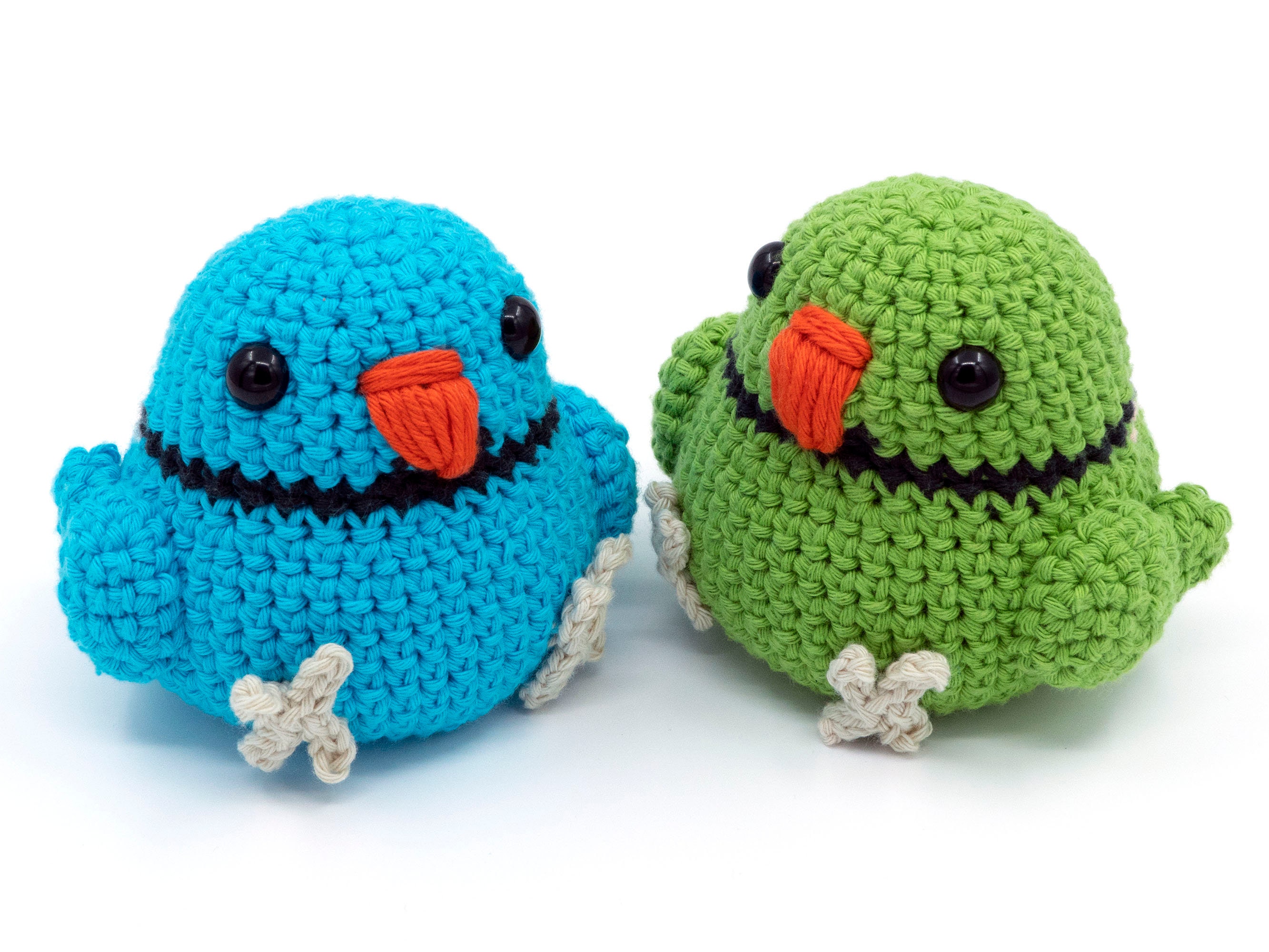 Ringneck parrot Nederland