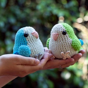 MADE to ORDER - Amigurumi Quaker Parrot - Blue or Green Monk Parakeet Bird Plush