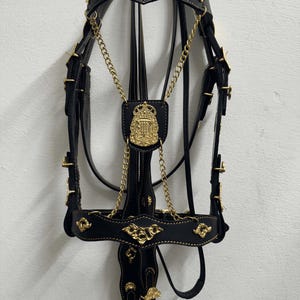 Handmade Leather Horse Bridle: Fancy Equestrian Bridle with Brass