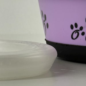 May include: A lavender pet bowl with black paw prints and a silver rim. A white, round, shallow dish is in the foreground. The bowl has a black base.