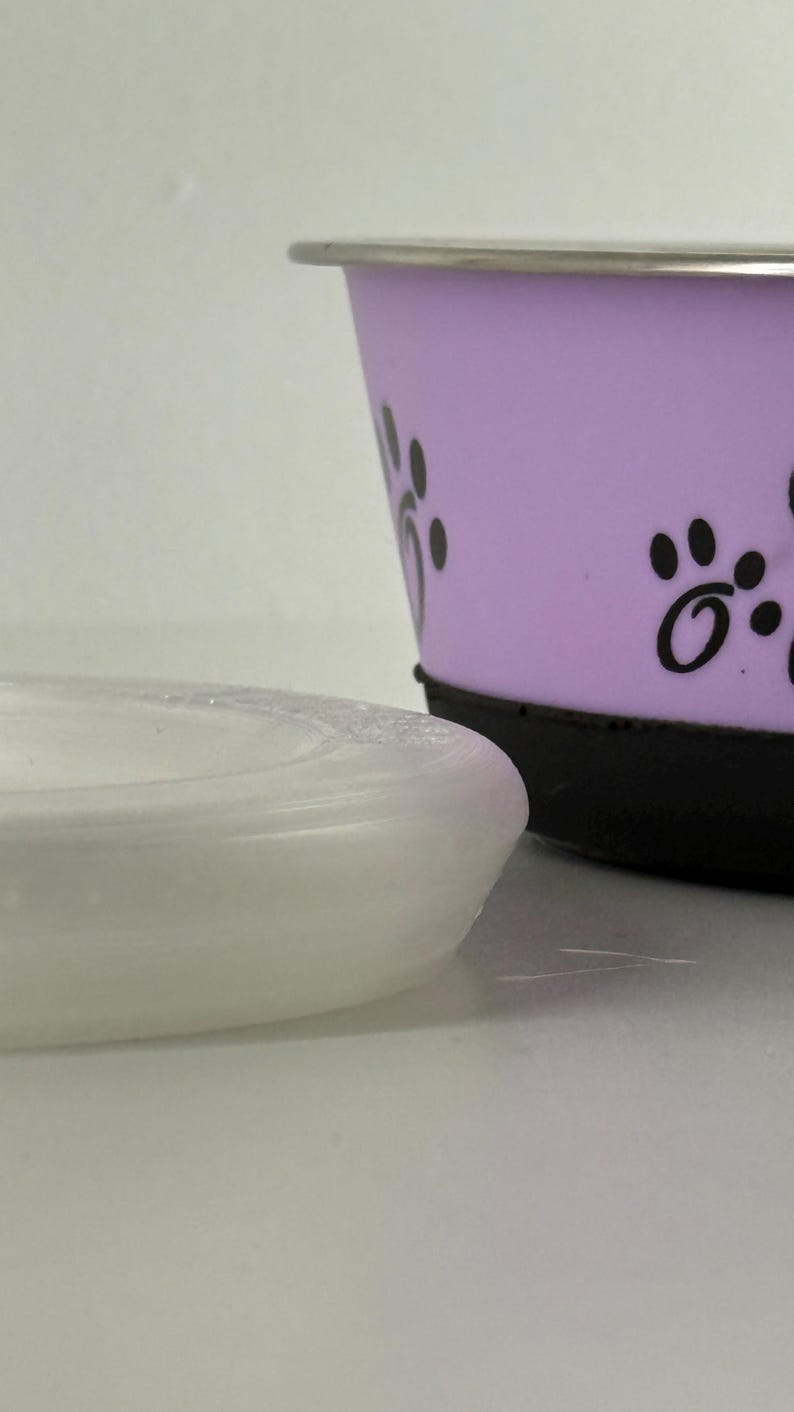 May include: A lavender pet bowl with black paw prints and a silver rim. A white, round, shallow dish is in the foreground. The bowl has a black base.
