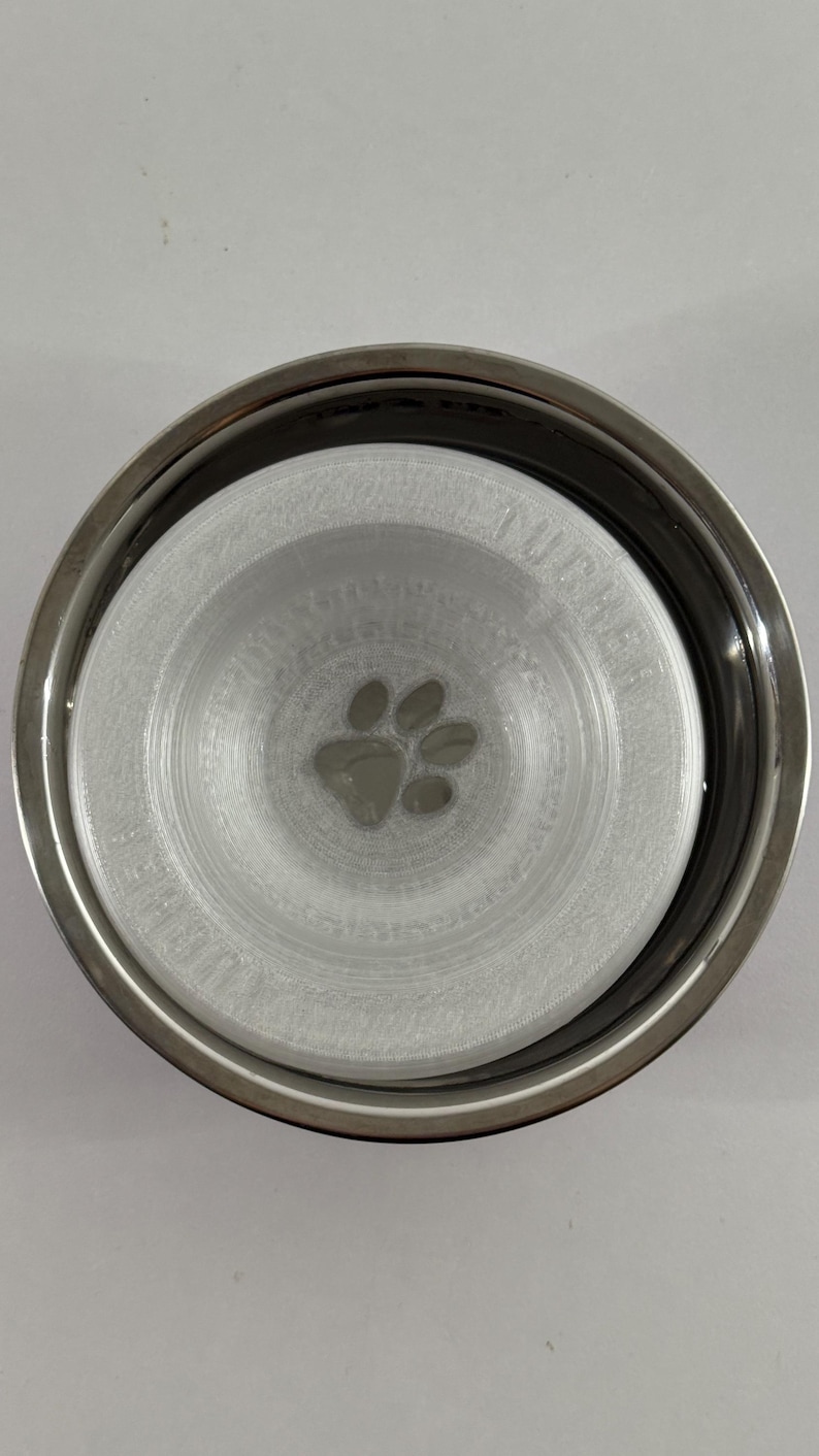 May include: A stainless steel pet bowl with a white interior. The interior features a paw print design at the bottom. The bowl has a wide, circular shape.