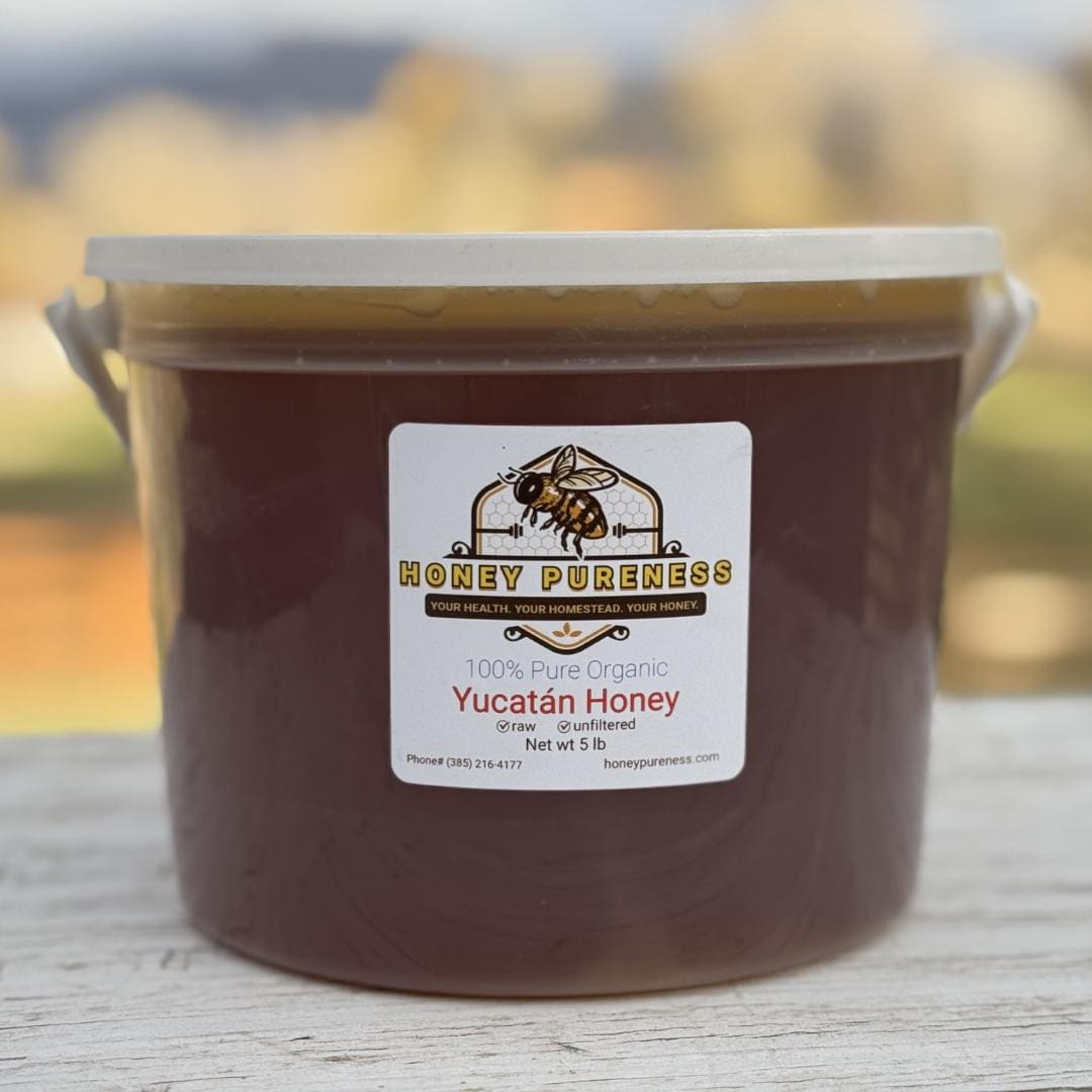 Organic Yucatan Honey - 5 lbs. - Real, Raw, and Unfiltered