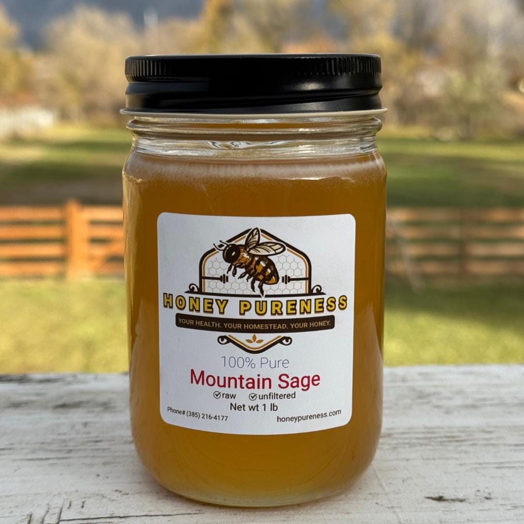 Pure USA Mountain Sage Honey 1 lb.