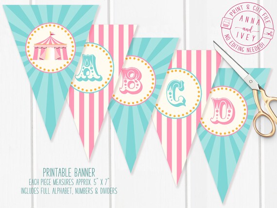 teal and pink baby shower