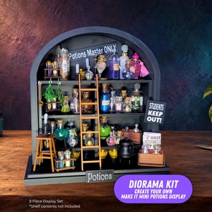 Peut inclure: Une étagère miniature arquée à trois niveaux remplie de petites bouteilles de potions en verre, une échelle en bois, un chaudron noir et des panneaux indiquant Potions Master ONLY et STUDENTS KEEP OUT. La base porte l'inscription Potions.