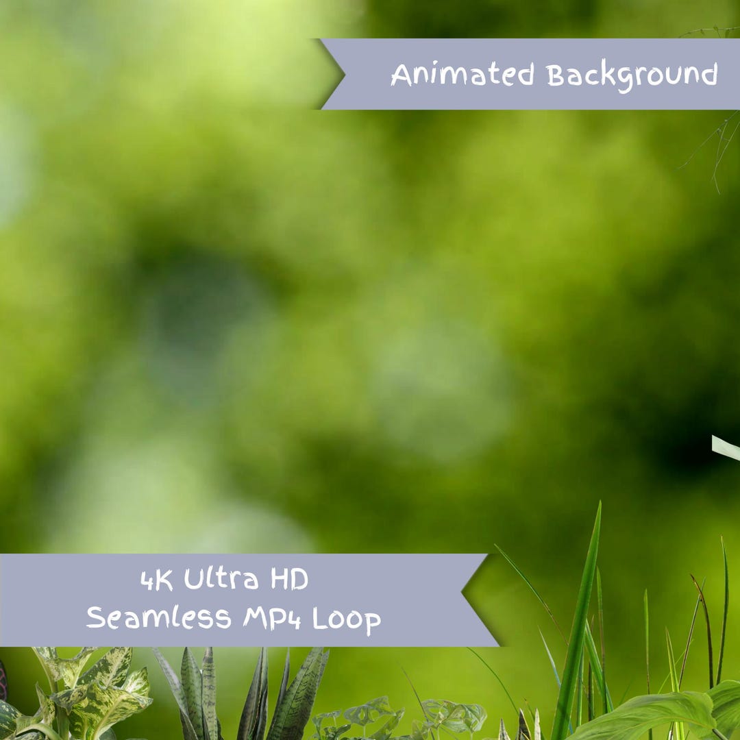 Tropical Plants Animated Background Bundle | Vtuber Overlay | Seamless ...
