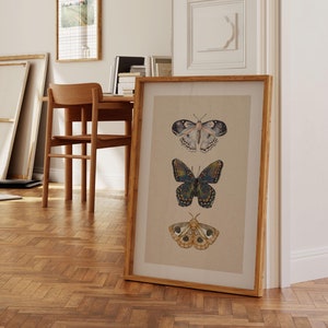 Moth Wall Art Vintage Butterfly Decor Nature Print Eclectic Gallery Wall Art Cottage Core Art Digital Download Antique Wall Art Luna Moth