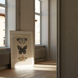 Moth Wall Art Vintage Butterfly Decor Nature Print Eclectic Gallery Wall Art Cottage Core Art Digital Download Antique Wall Art Luna Moth