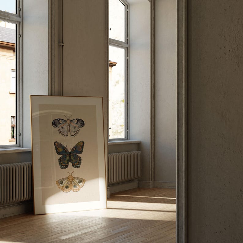 Moth Wall Art Vintage Butterfly Decor Nature Print Eclectic Gallery Wall Art Cottage Core Art Digital Download Antique Wall Art Luna Moth
