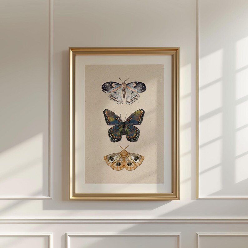 Moth Wall Art Vintage Butterfly Decor Nature Print Eclectic Gallery Wall Art Cottage Core Art Digital Download Antique Wall Art Luna Moth