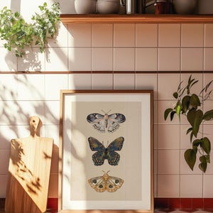 Moth Wall Art Vintage Butterfly Decor Nature Print Eclectic Gallery Wall Art Cottage Core Art Digital Download Antique Wall Art Luna Moth