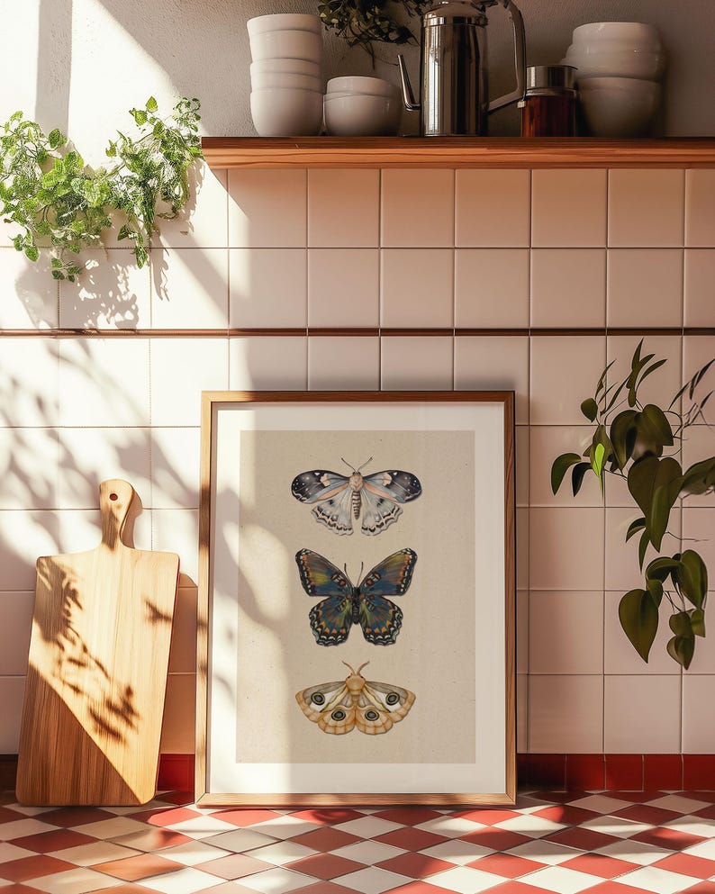 Moth Wall Art Vintage Butterfly Decor Nature Print Eclectic Gallery Wall Art Cottage Core Art Digital Download Antique Wall Art Luna Moth