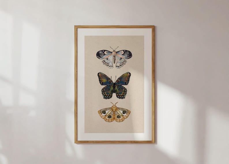 Moth Wall Art Vintage Butterfly Decor Nature Print Eclectic Gallery Wall Art Cottage Core Art Digital Download Antique Wall Art Luna Moth